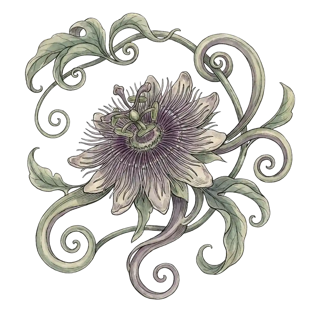 Botanical art for the Anxiety theme