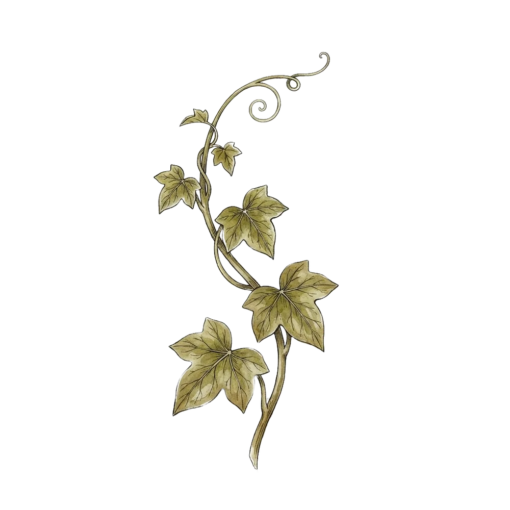 Botanical art for the Career theme